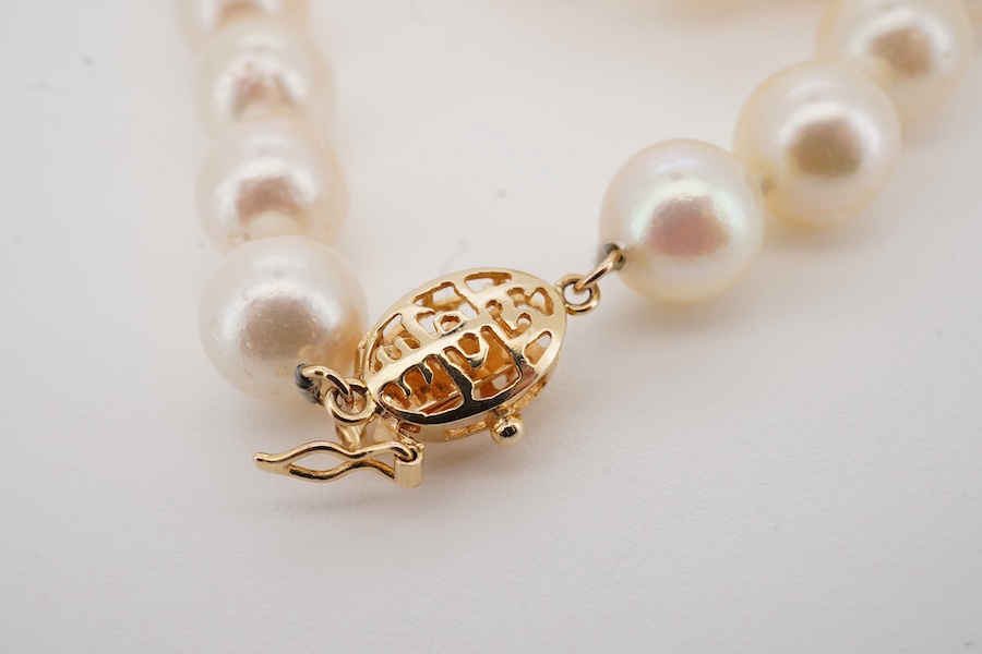 A single strand cultured pearl necklace, with Chinese 14k yellow metal clasp, 42cm. Condition - fair to good